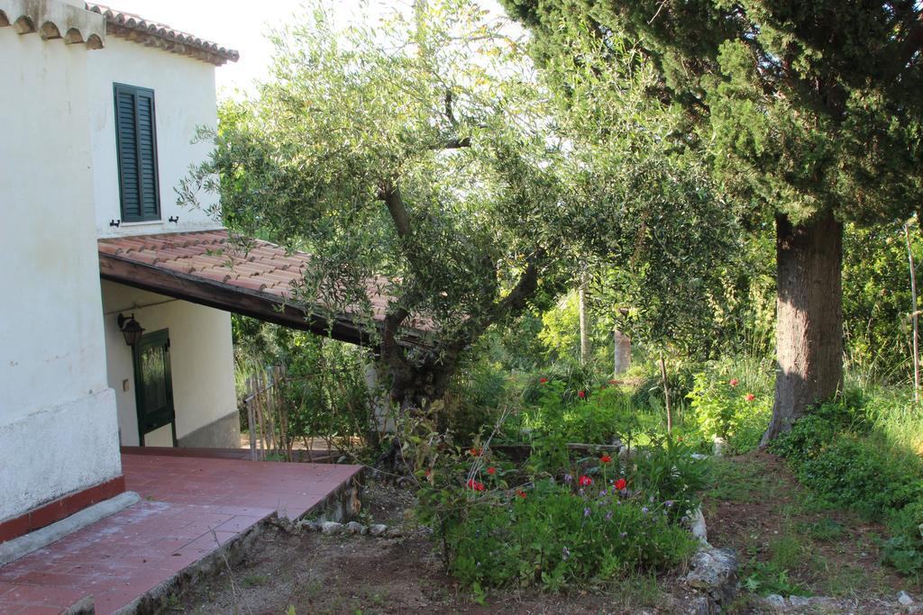 Tenuta Conte Ruggero Santa Domenica  Ruang foto